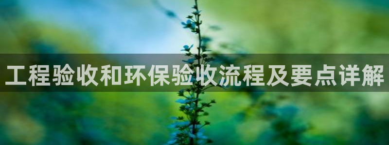 彩名堂是正规的公司吗