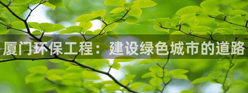 彩名堂预测官网