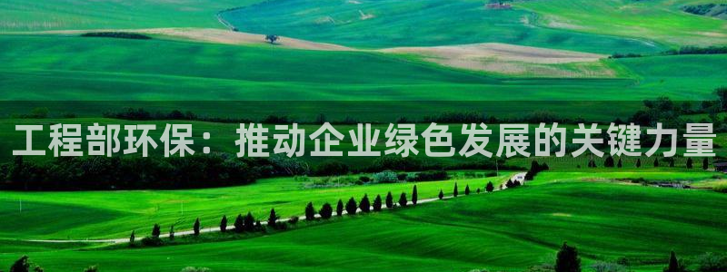 彩名堂官网计划01