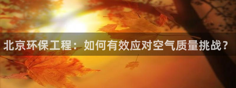 彩名堂二维码