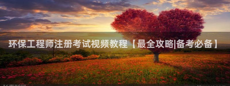彩名堂不能用了吗