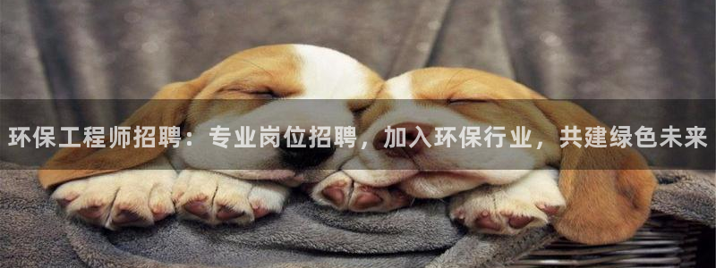 彩名堂人工计划客户端