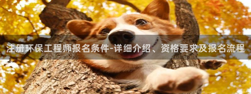 彩名堂一直不出结果怎么回事