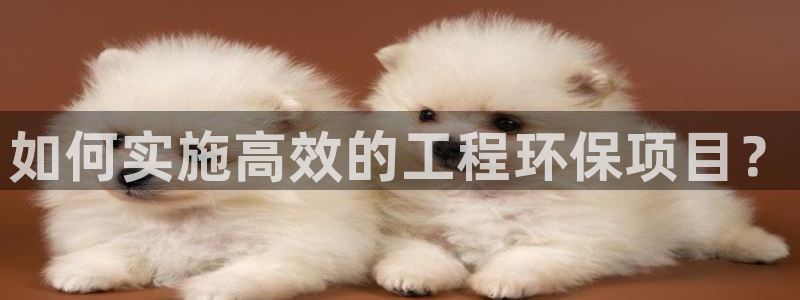 彩名堂人工预测免费计划