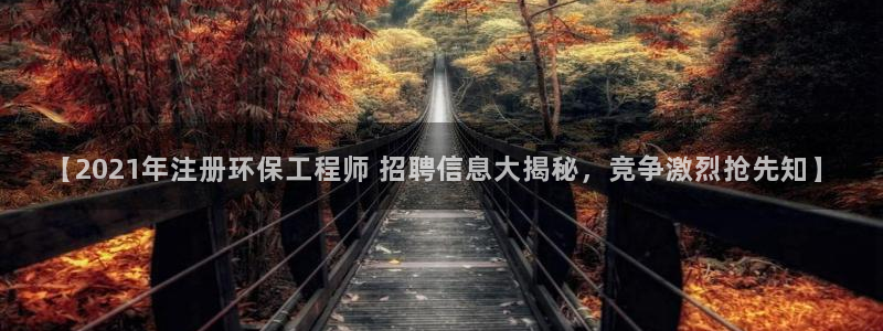 彩名堂不能用了吗