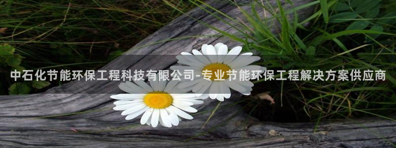彩名堂免费计划亮点