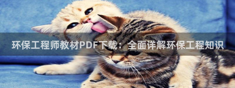 彩名堂计划最新版手机版