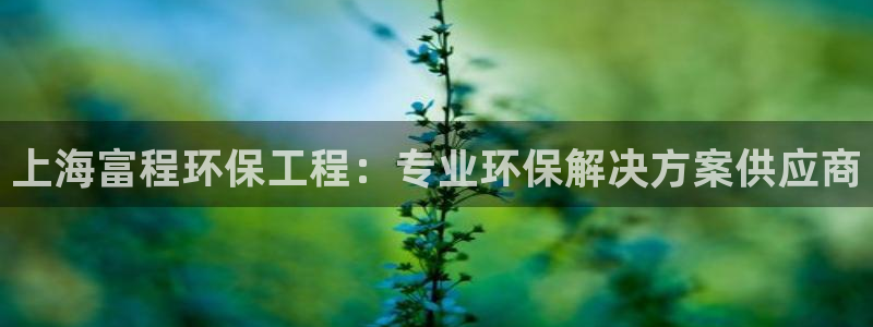 彩名堂最新免费计划官网