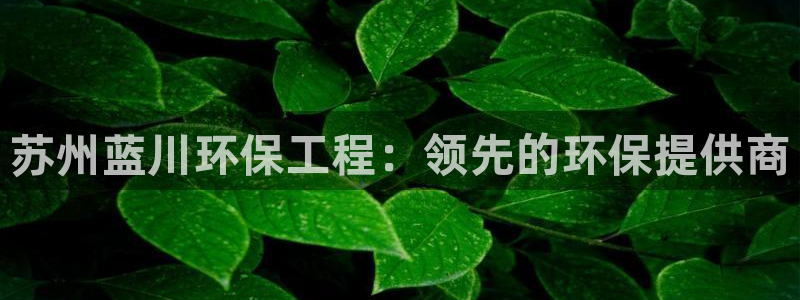 彩名堂彩