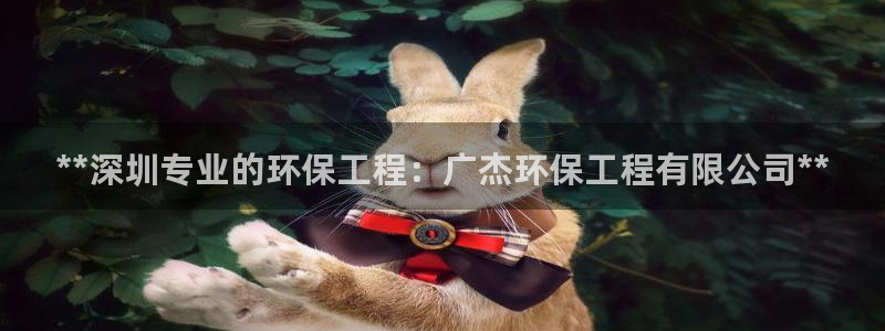 彩名堂为什么用不了了