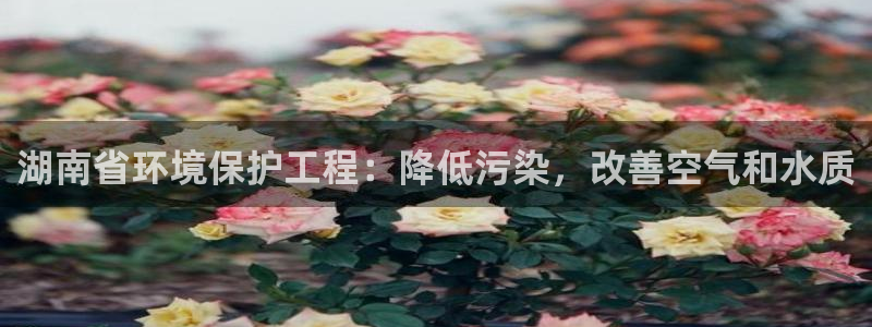 彩名堂官网计划怎么下载到手机
