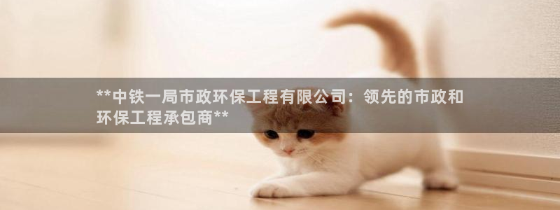 彩名堂怎么样：**中铁一局市政环保工程有限公司：领先的市政和
环保工程承包商**