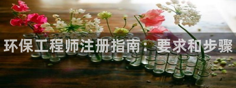 彩名堂免费计划客户端官网：环保工程师注册指南：要求和步骤