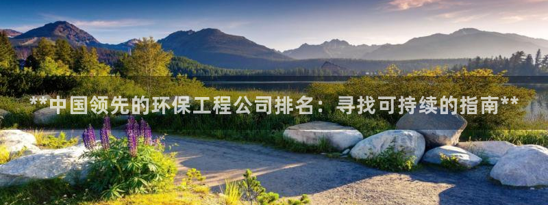 彩名堂跟哪种最好用：**中国领先的环