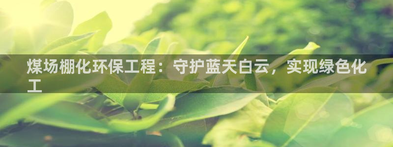 彩名堂app2.05版本：煤场棚化环