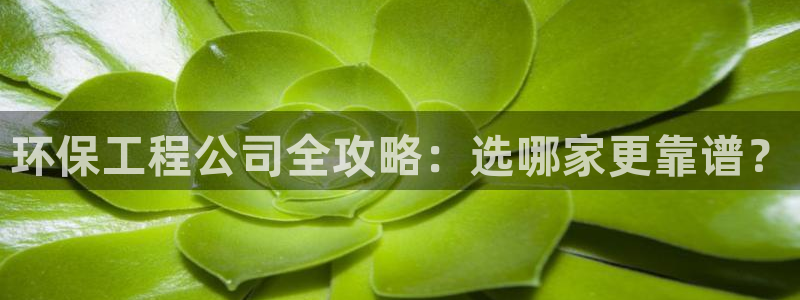 彩名堂官方下载地址：环保工程公司全攻