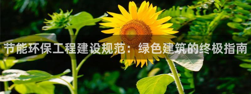 彩名堂开奖结果查询：节能环保工程建设