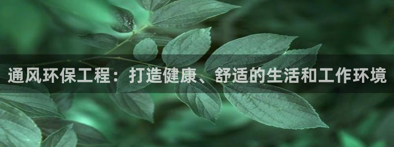 彩名堂还可以用吗：通风环保工程：打造